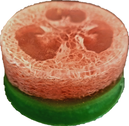Loofah Soap Sweet Watermelon 3 pack