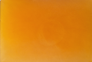 Juicy Mango Soap 4oz (3 pack)