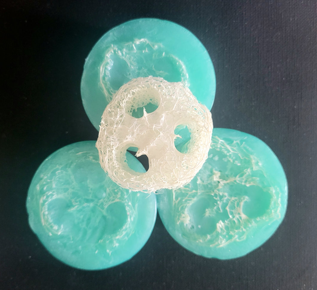 Spa Day Loofah Soap