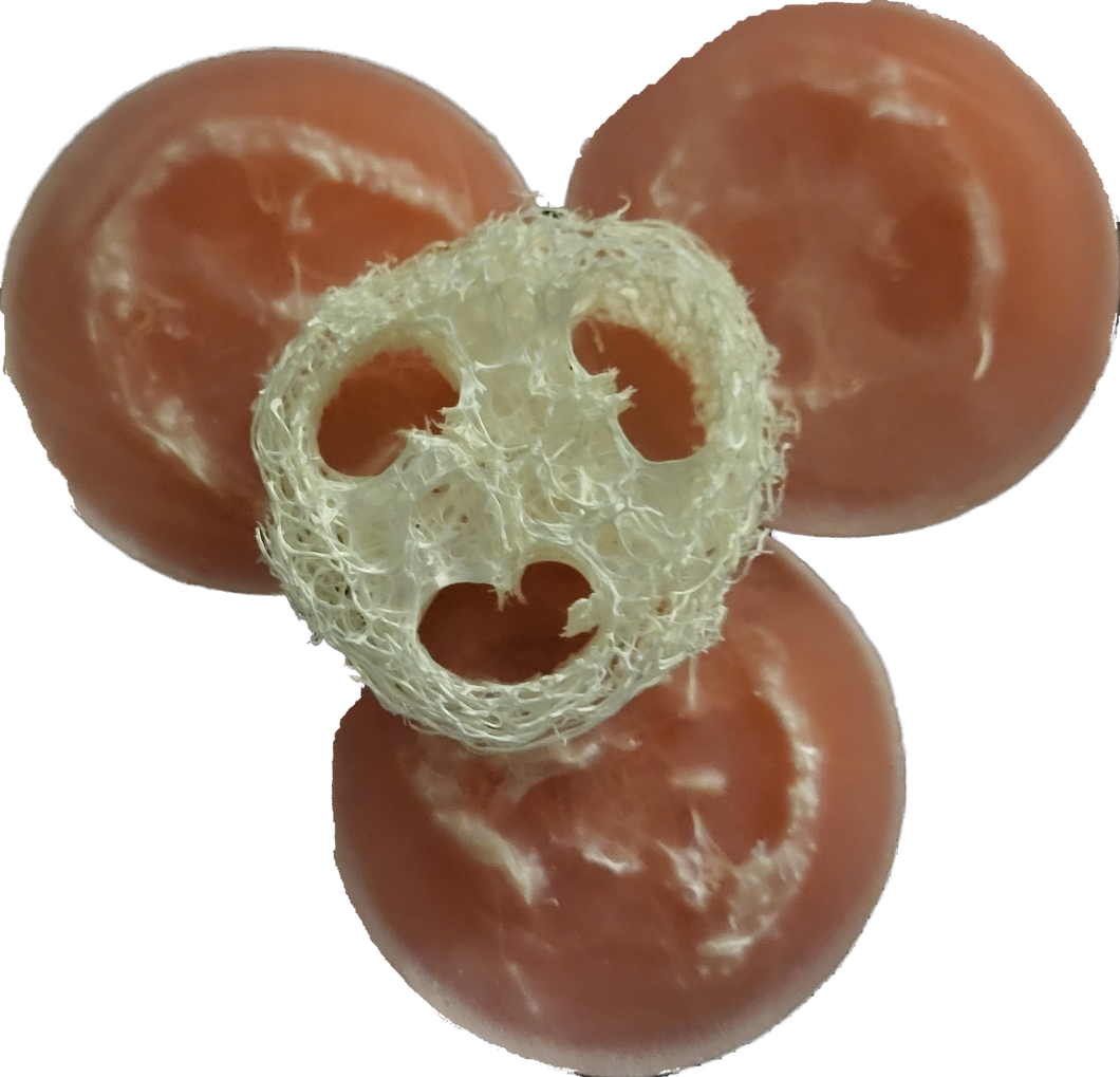 Candy Cane Lane Loofah Soap 3pack